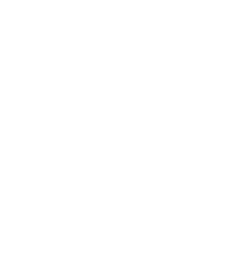 Raise a Village